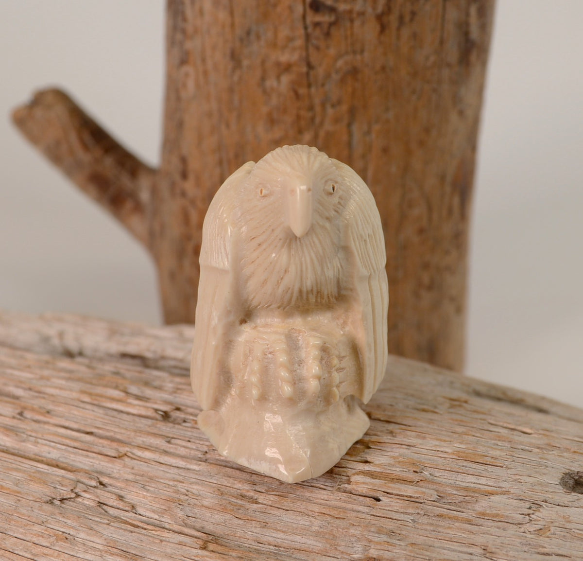 22-0033 - Image 2