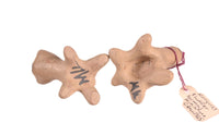 Santa Clara Pueblo Pottery Turtles By Margret & Luther