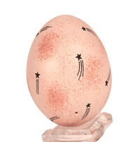 Santo Domingo Pueblo Egg Seed Pottery By Julian Coriz
