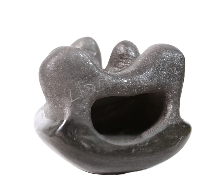 San Ildefonso Pueblo Pottery Turtle By Liana Sanchez