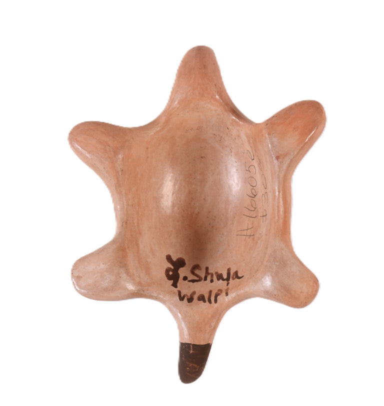 Hopi Pueblo Turtle Pottery By L. Shula