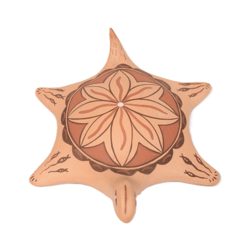 Zuni Pueblo Pottery Turtle By As. Peynetsa