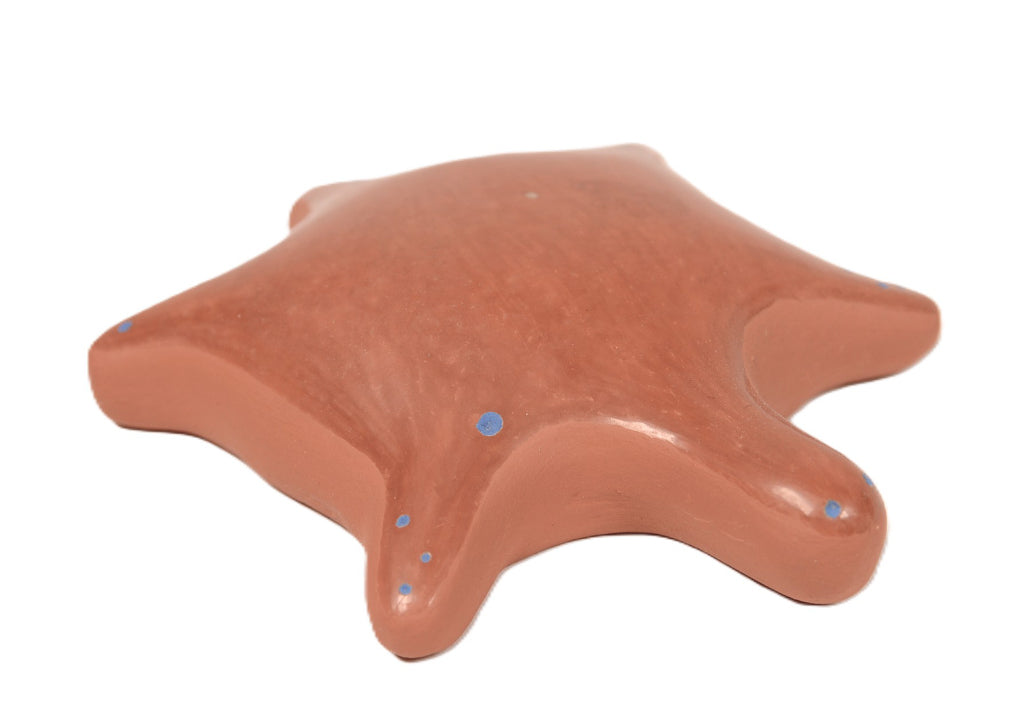 San Juan Red Pottery Turtle By AL