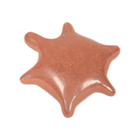 San Juan Red Pottery Turtle By AL