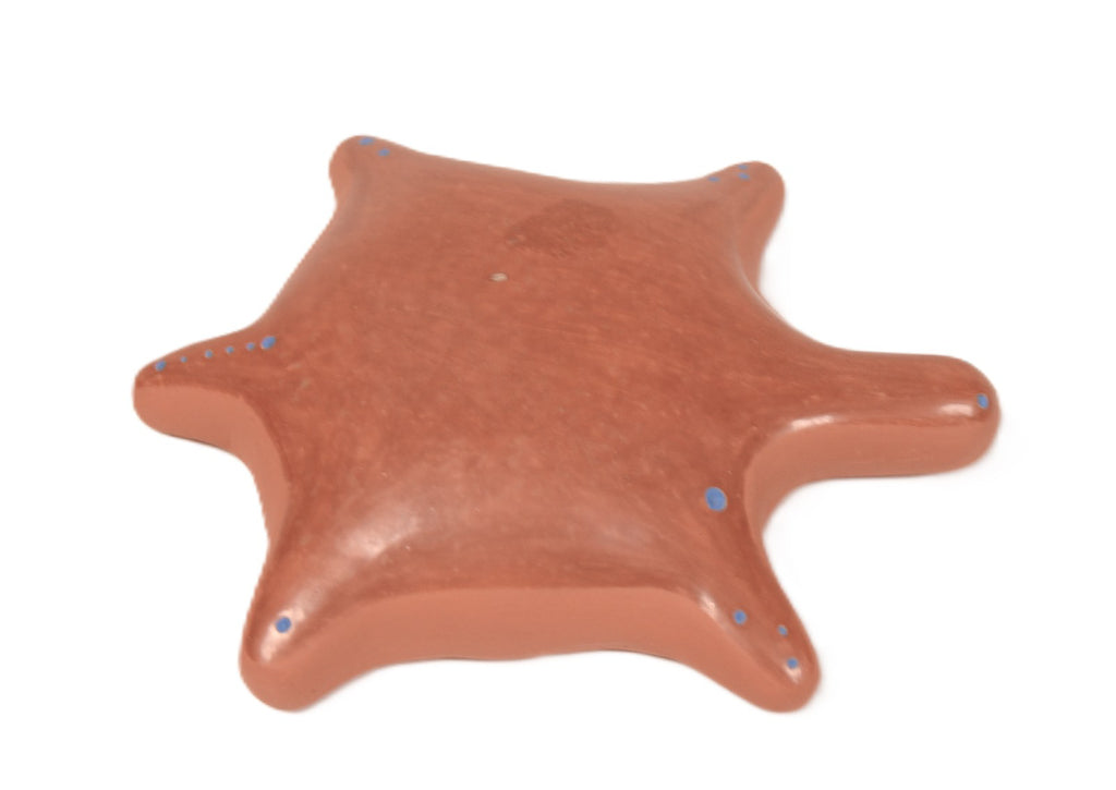 San Juan Red Pottery Turtle By AL