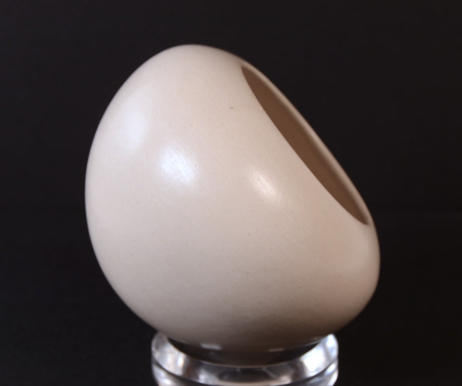 Hopi Pueblo White Bowl By Preston Dunyenic