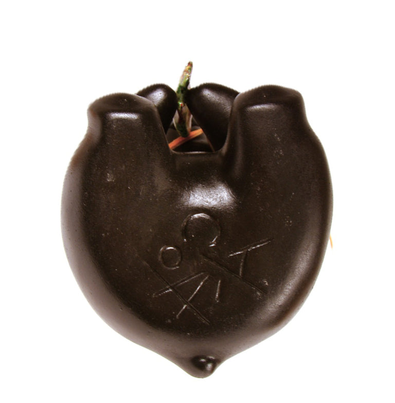 Choctaw Pueblo Black Bear Pottery By Randy Chitto