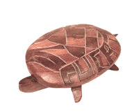 Indonesian Wood Carved Turtle with Shell Lid
