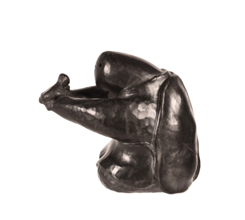 Choctaw Black Turtle Storyteller By Randy Chitto