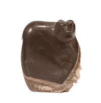 Zuni Pueblo Bear Fetish By Carl Etsate