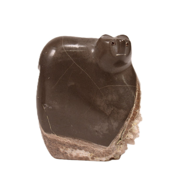 Zuni Pueblo Bear Fetish By Orin Eriacho