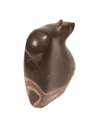 Zuni Pueblo Bear Fetish By Carl Etsate