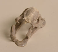 22-0474 - Image 3