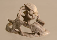 22-0474 - Image 6