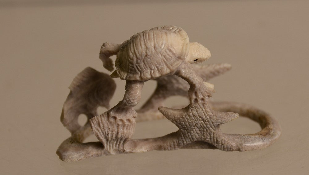 22-0474 - Image 7