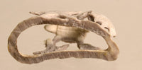 22-0474 - Image 8