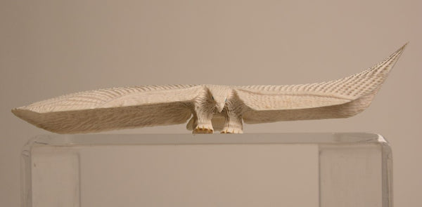 22-0475 - Image 1