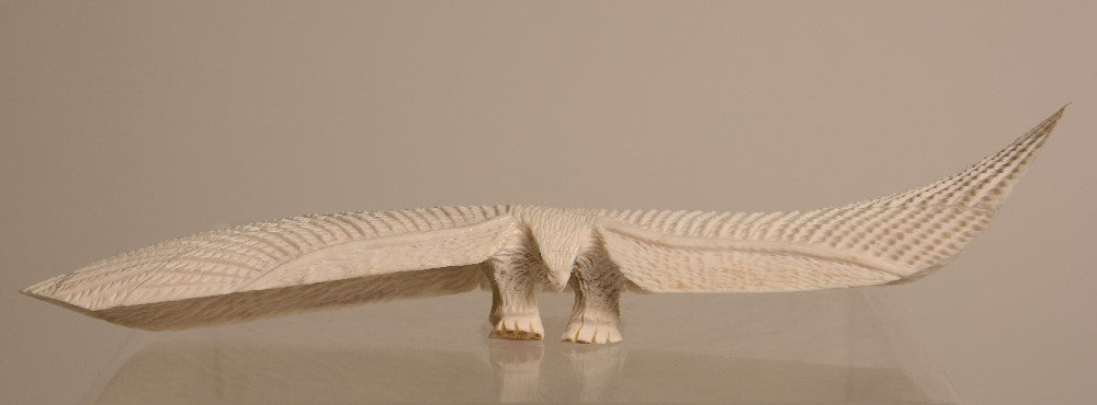 22-0475 - Image 2