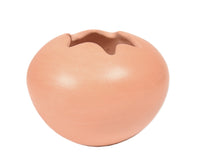 Cree Pueblo Pottery By Glen Nipshank