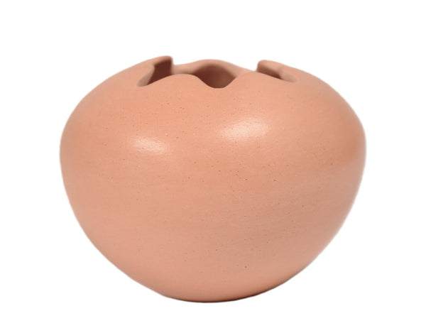 Cree Pueblo Pottery By Glen Nipshank