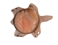 Zuni Pueblo Turtle Fetish