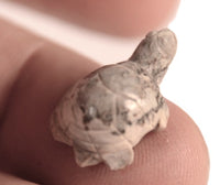 Zuni Pueblo Grey Turtle Fetish