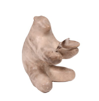 Zuni Pueblo Pottery Bear Fetish