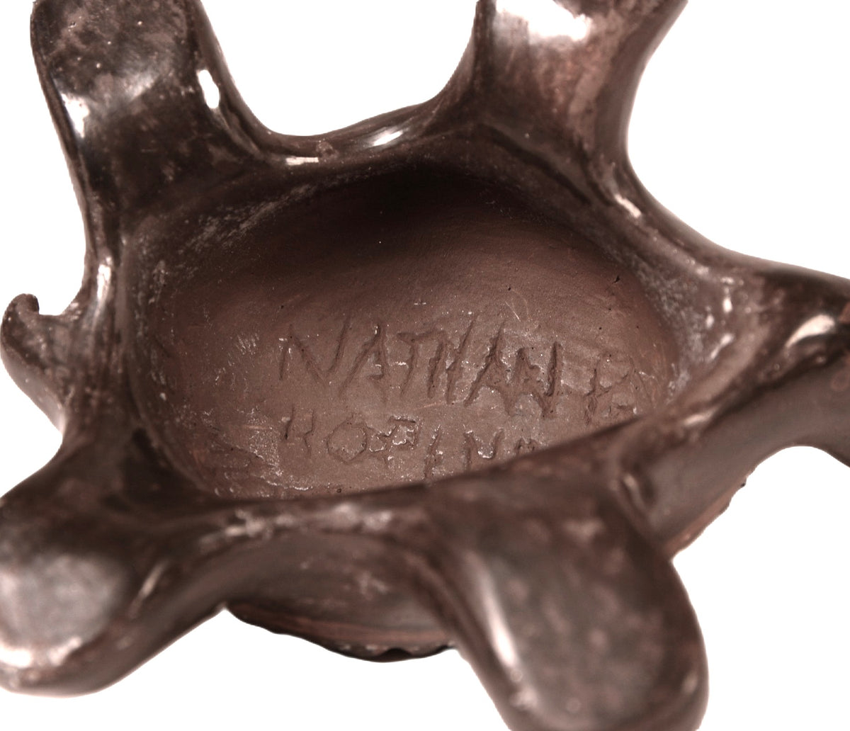 Hopi Pueblo Turtle Fetish By Nathan