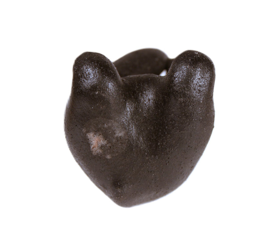 Choctaw Pueblo Black Bear Pottery By Randy Chitto