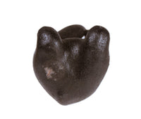 Choctaw Pueblo Black Bear Pottery By Randy Chitto