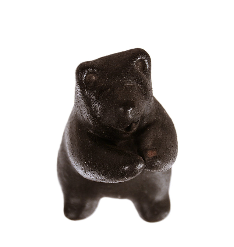 Choctaw Pueblo Black Bear Pottery By Randy Chitto