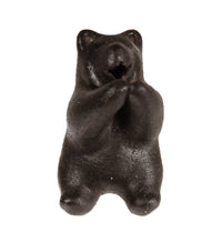 Choctaw Pueblo Black Bear Pottery By Randy Chitto