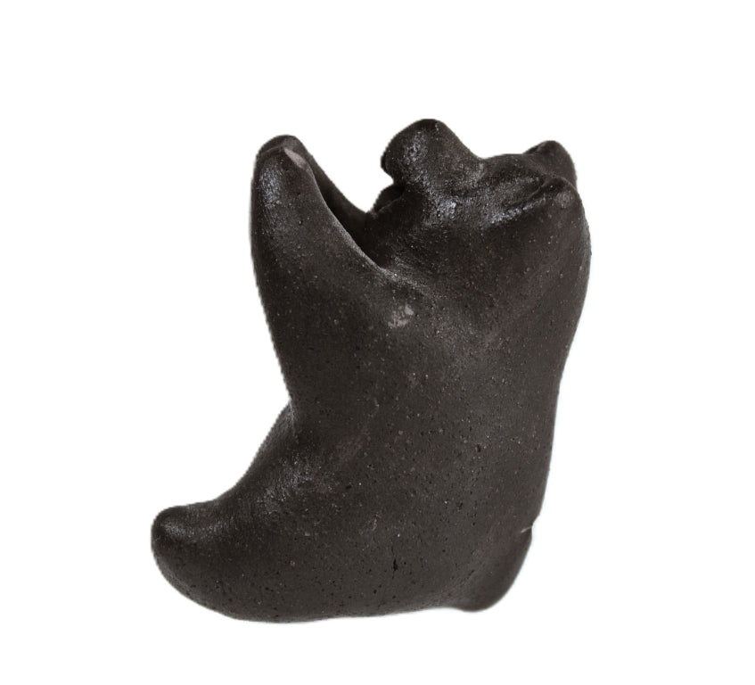 Choctaw Pueblo Black Bear Pottery By Randy Chitto