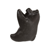 Choctaw Pueblo Black Bear Pottery By Randy Chitto