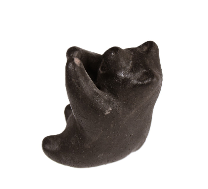 Choctaw Pueblo Black Bear Pottery By Randy Chitto