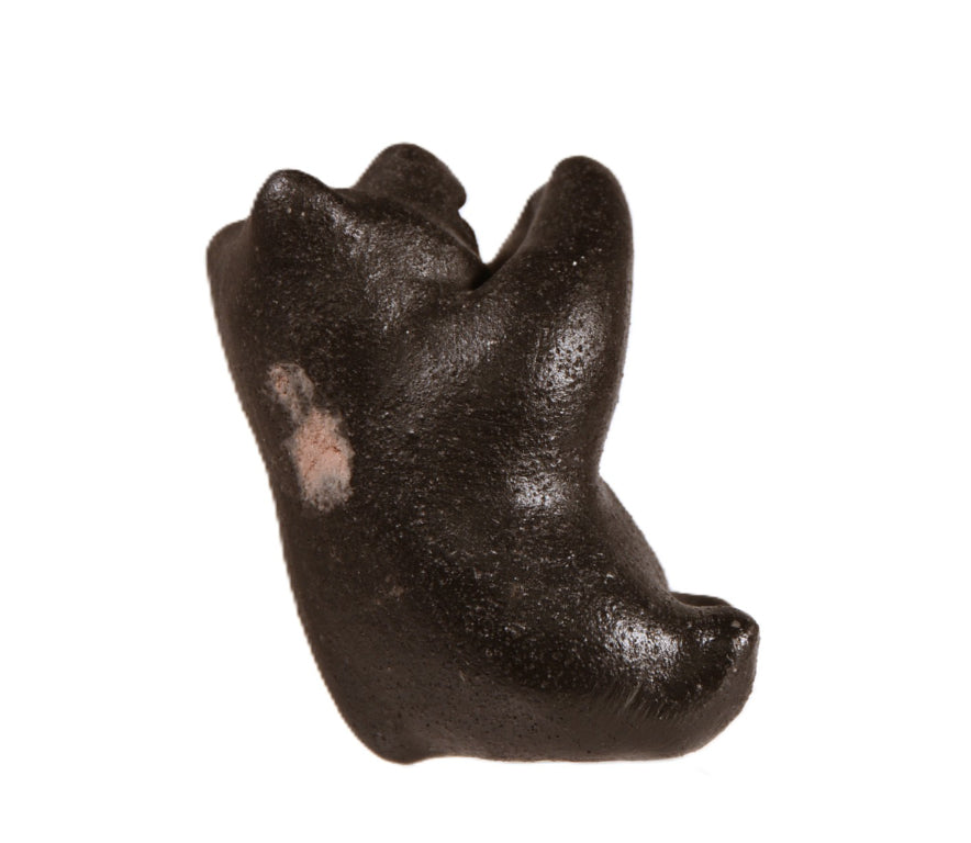 Choctaw Pueblo Black Bear Pottery By Randy Chitto
