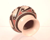 Hopi Pueblo Pottery By Clinton Polacco Nampeyo