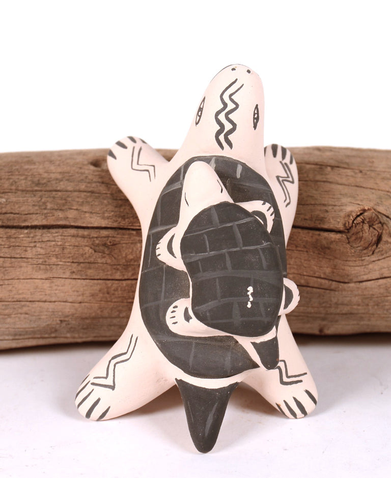 Cochiti Pueblo Turtle Pottery By Snowflake Flower