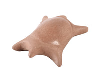 Taos Pueblo Pottery Turtle By Edna Romero