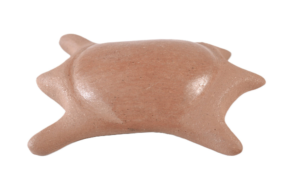 Taos Pueblo Pottery Turtle By Edna Romero