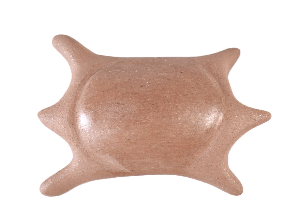 Taos Pueblo Pottery Turtle By Edna Romero