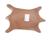 Taos Pueblo Pottery Turtle By Edna Romero