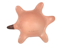 Hopi Pueblo Ceramic Turtle By L. Shula Walpi