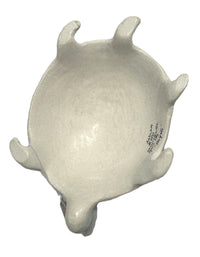 Acoma Pueblo Pottery Turtle By Maria Lilly "Hayete"