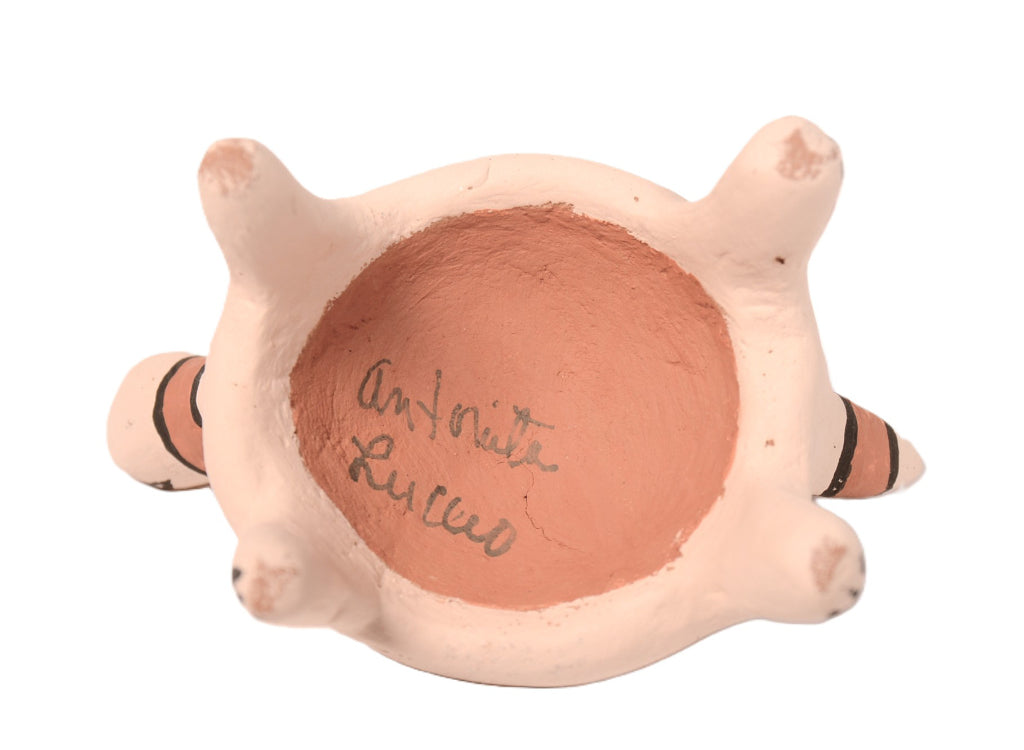 Jemez Pueblo Ceramic Pottery Turtle By Antonita Lucero