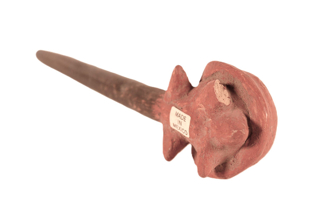Mexico Turtle Pipe Pottery