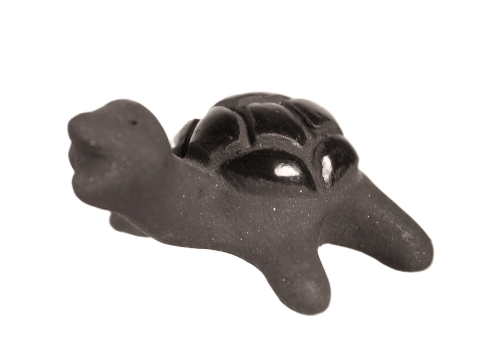 Santa Clara Pueblo Turtle Pottery