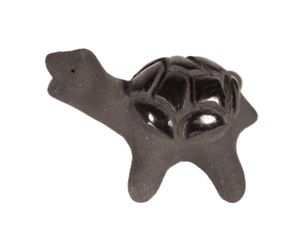 Santa Clara Pueblo Turtle Pottery