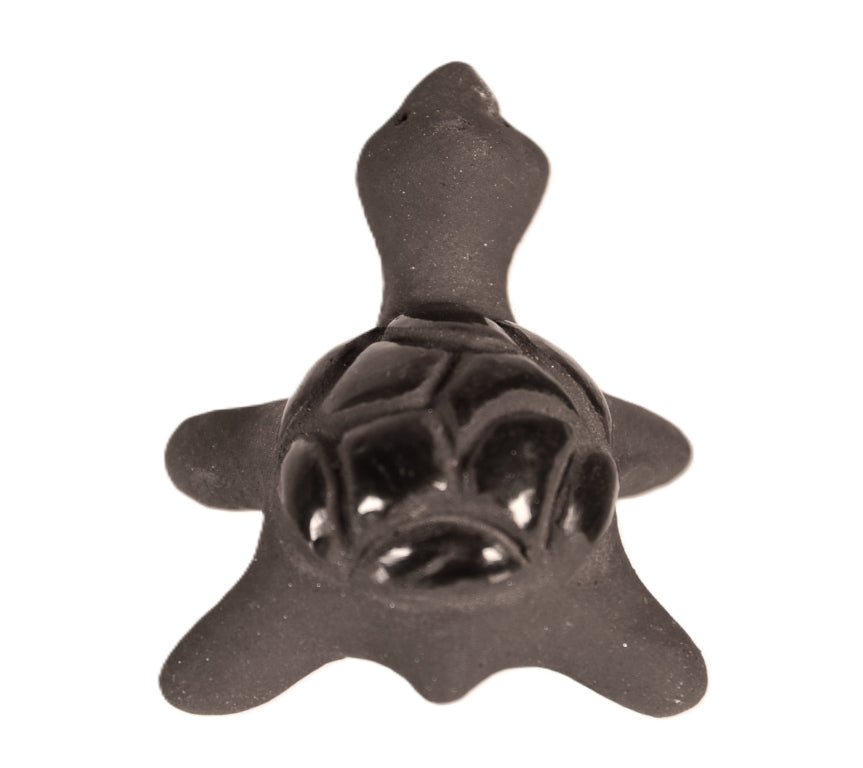 Santa Clara Pueblo Turtle Pottery