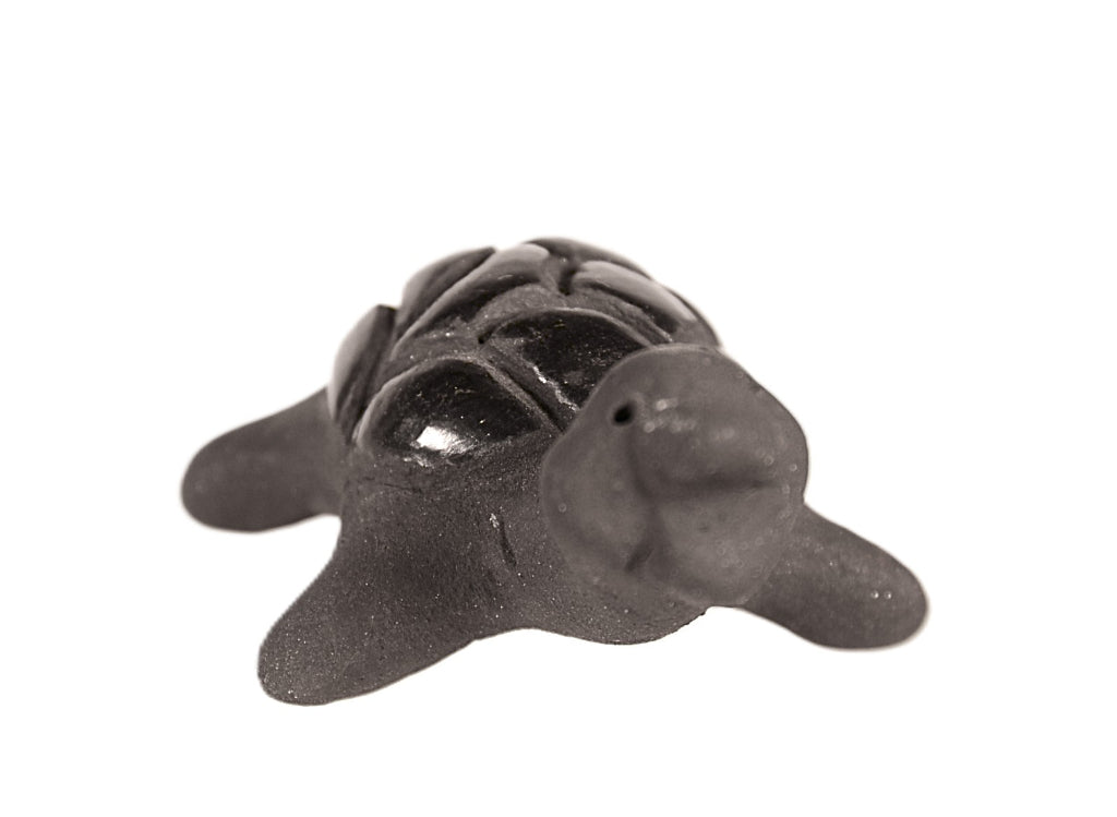 Santa Clara Pueblo Turtle Pottery